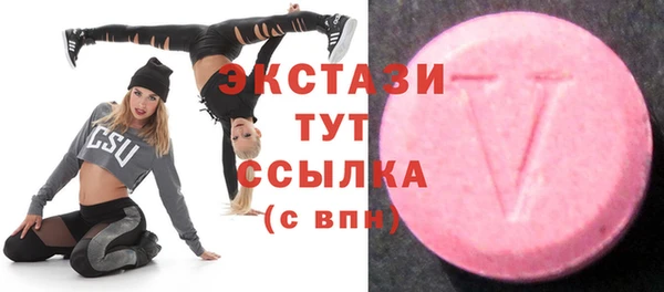 индика Корсаков