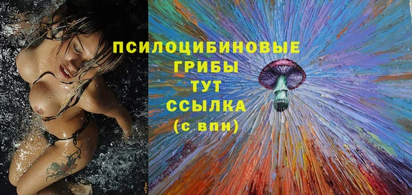 spice Мурманск
