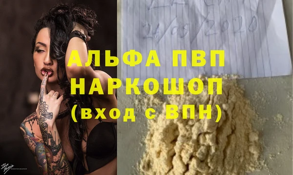 индика Корсаков