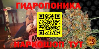 гидропоника Гусиноозёрск