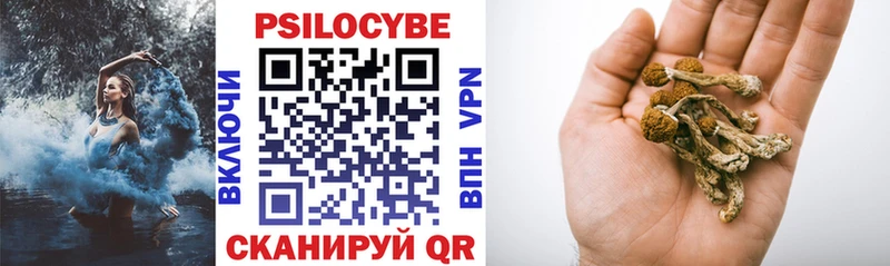 Галлюциногенные грибы GOLDEN TEACHER  Михайловка 