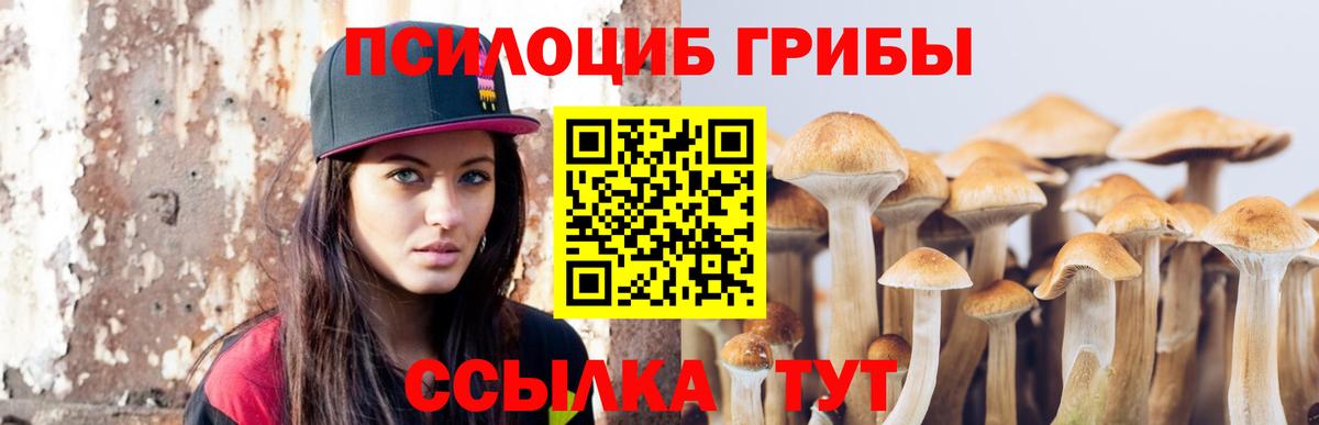 Галлюциногенные грибы Psilocybine cubensis  Вход с VPN  Михайловка 